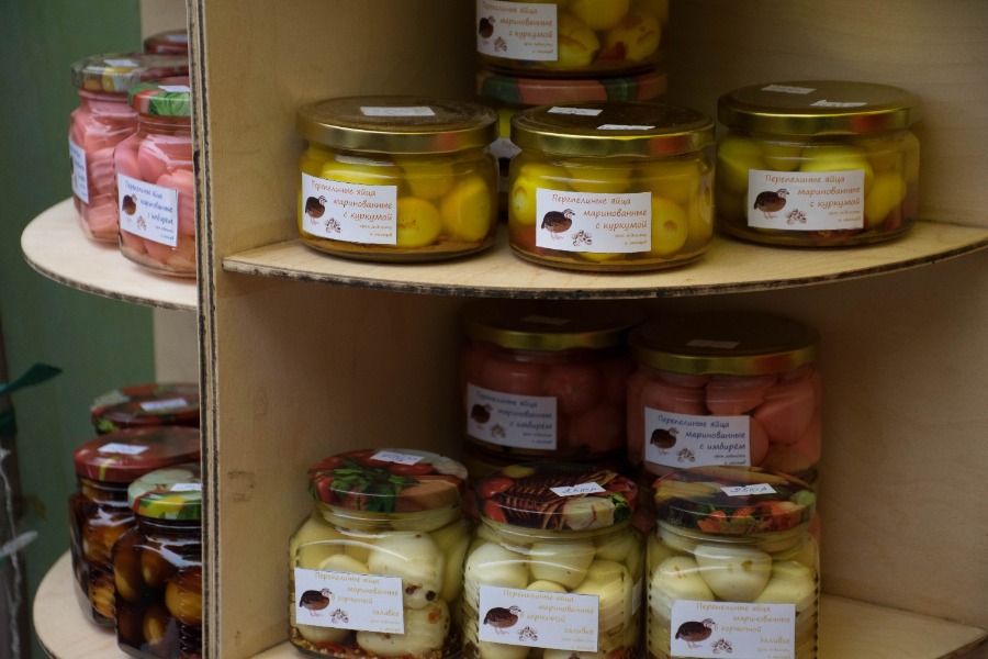 ���� ����� - 2023